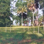 Panorama view of the Guardians c. 1999